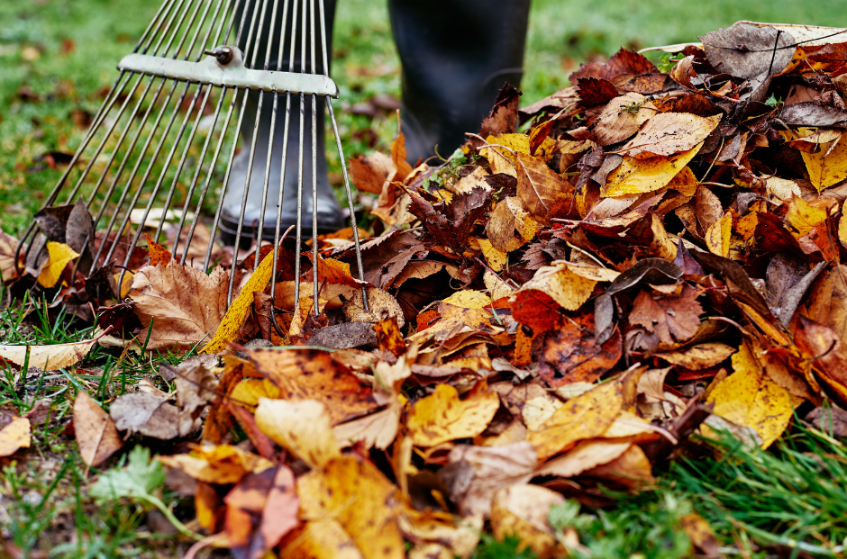 a person in black boots raking leaves.
