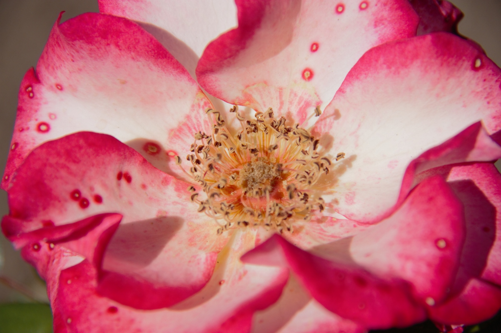 This image has an empty alt attribute; its file name is image-22-1024x682.png