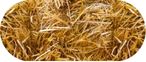 a bunch of yellow straw mulch.