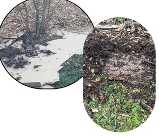 Cardboard and newspaper mulch laid over a garden.